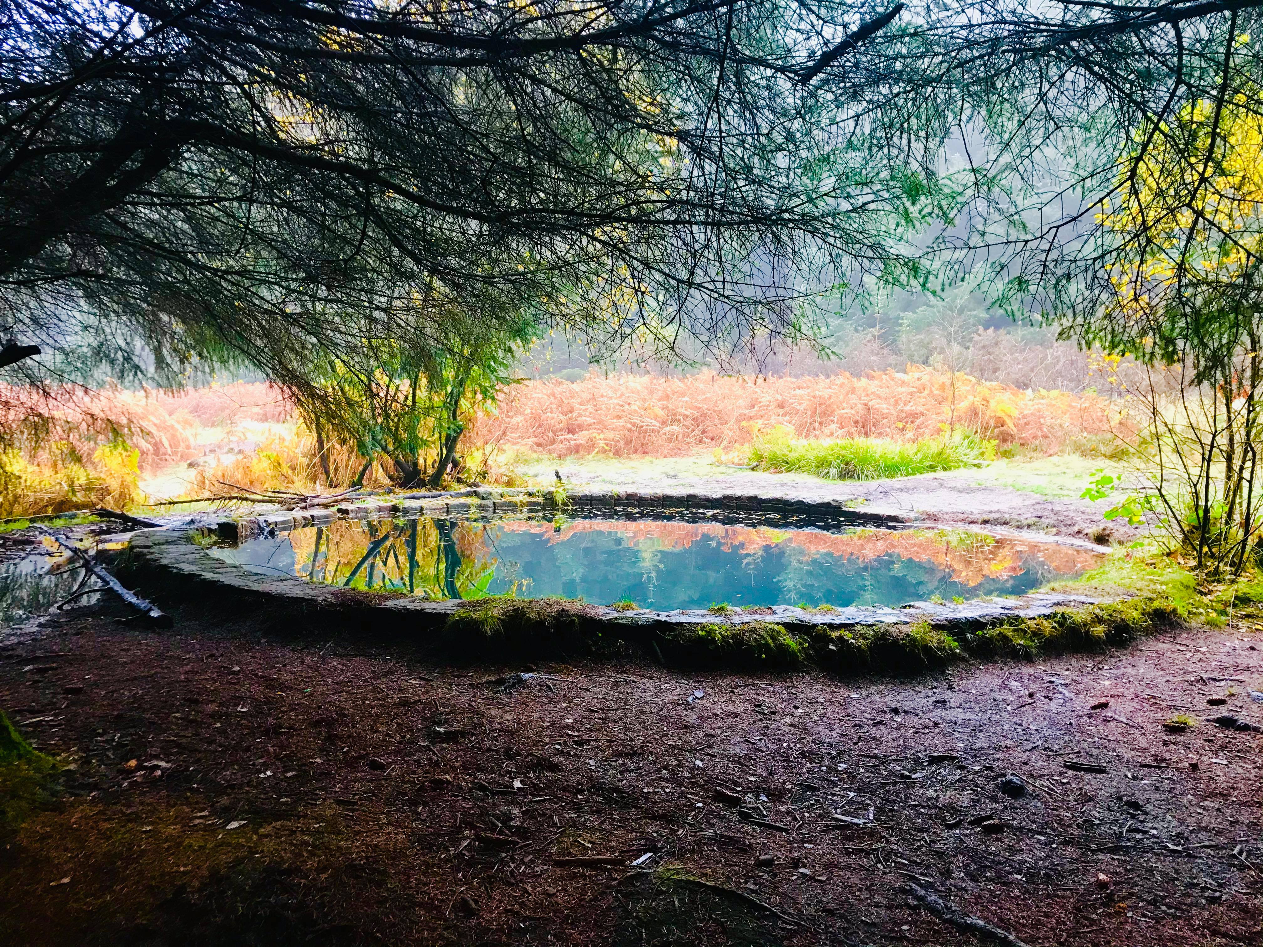 Torwood Castle and its Mysterious Blue Pool