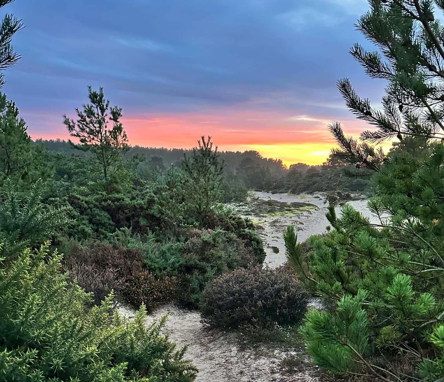 Exploring the Moray Coast Trail: A 4-Day Trail from Forres to Cullen